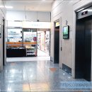 알파 다산블루웨일 이미지