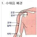 수태음폐경 혈자리 뜻과 정리 이미지