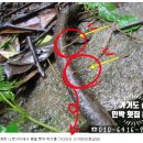 독실산민박 이미지