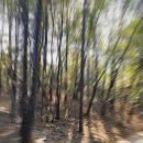 등산로(하) 이미지