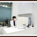 부산강아지분양 미유펫 | 부산강아지분양 미유펫 말티즈