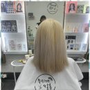 무지개미용실 네이버블로그