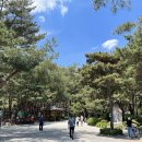 도봉-도봉-서울도봉-2022 이미지