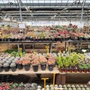 명원농장 이미지