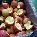 풍운농원 이미지