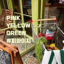 Green토스트 | [삼덕동 맛집] 유럽감성 낭낭한 대구 시내 브런치카페 피와이지(PINK YELLOW GREEN)