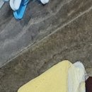 구미중앙로-11 이미지