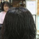 향림미용실