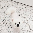 반자주 진해점 이미지