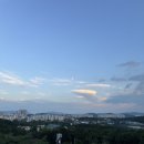 더블링독 이미지