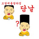 대식이네 이미지