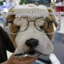 아이하우스안경 이미지