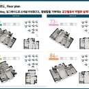 드림씨티개발