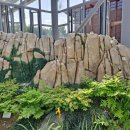 삼성누비 이미지