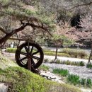 화동못 수변공원 이미지