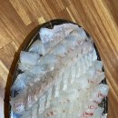 속초회포장 맛집 [회시태그]모듬회(대) 포장 후기❤️