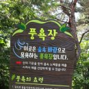힐링파크쑥섬쑥섬