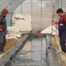 선향농장 이미지