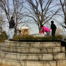 백석1동주민센터 이미지