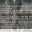 선성군 묘역 및 석물 이미지