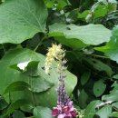 천등산농원 이미지