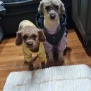 주식회사리한