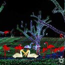 아이포토랜드