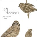 비봉 이미지