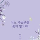 안옥순 - 북구 | 안옥순