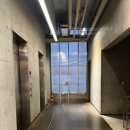 삼성출판사 사옥, 디토 이미지