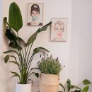 에쏠공인중개사사무소 이미지