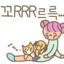 정들집 이미지