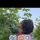 천주로1184번길 네이버블로그
