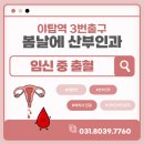 봄날에산부인과의원 | 야탑동산부인과, 임신 중 출혈 원인과 대처방법