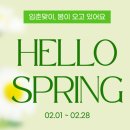 에넥스스토어