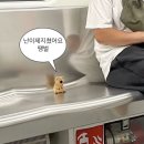 수원랜드 이미지