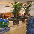 랑데자뷰 이미지