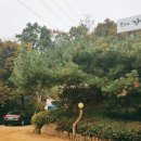 온누리인력소개소 - 김천시 | 온누리인력소개소