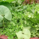 원식농장 이미지