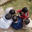 마음소풍 이미지