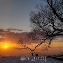 부여(외산)-1 이미지