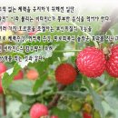 한마음농원