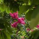 아미미술관 이미지