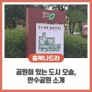 빛과숲건강생활 | 청주 오송 만수공원 방문 후기: 대중교통 편리한 도심 속 숲길 산책 명소