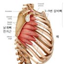 강남헬스 이미지