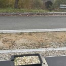 B15-1 | 운일암반일암여가캠핑장 친구랑 1박2일 b15사이트