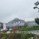 동남다육