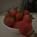 디딤불닭발 | 인생이 다 그렇지 뭐.. 2월