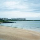 신양섭지코지해변 | 제주도 서귀포 카페 추천 섭지코지 오션뷰 서귀피안베이커리