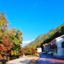 병곡 산림체험교육장 | 금산 숙소 금산산림문화타운 남이자연휴양림 예약